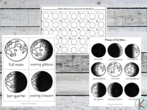 FREE Moon Phases Worksheets