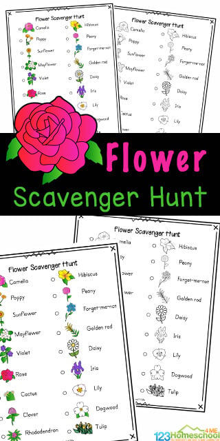 🌺 Flower Counting Math Worksheets for Kindergarten