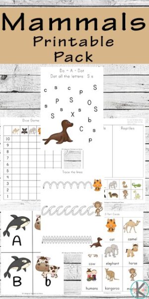 FREE Mammal Reading Comprehension Worksheets