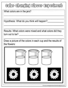 🌼 Amazing Food Coloring Flower Science Experiment w/ FREE Worksheet