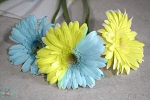 Flower-Science