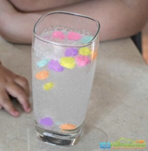 candy-science-experiment