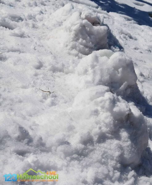 snow-activity-for-kids