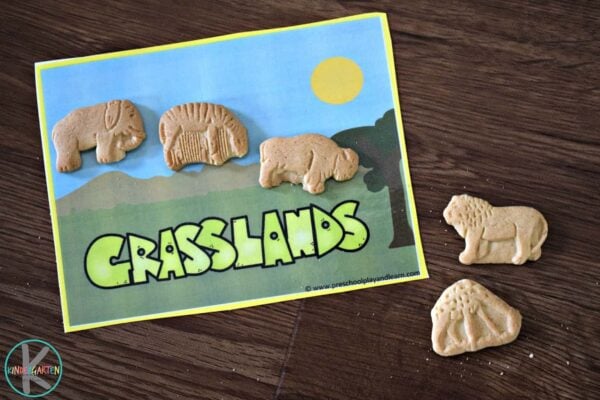 FREE Printable Animal Habitats Activities for Preschool & Kindergarten FREE Printable Animal Habitats Activities for Preschool & Kindergarten