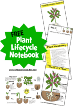 FREE Steps to Planting a Seed Sequencing Worksheet for Kindergarten