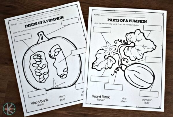 FREE Parts of a Pumpkin Worksheets to help kids learn science vocabulary for growing pumpkins. great printable for October and November