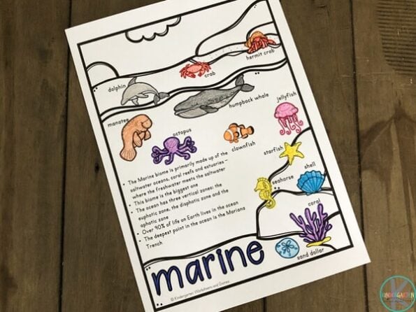 FREE Biomes Coloring Pages for Kids