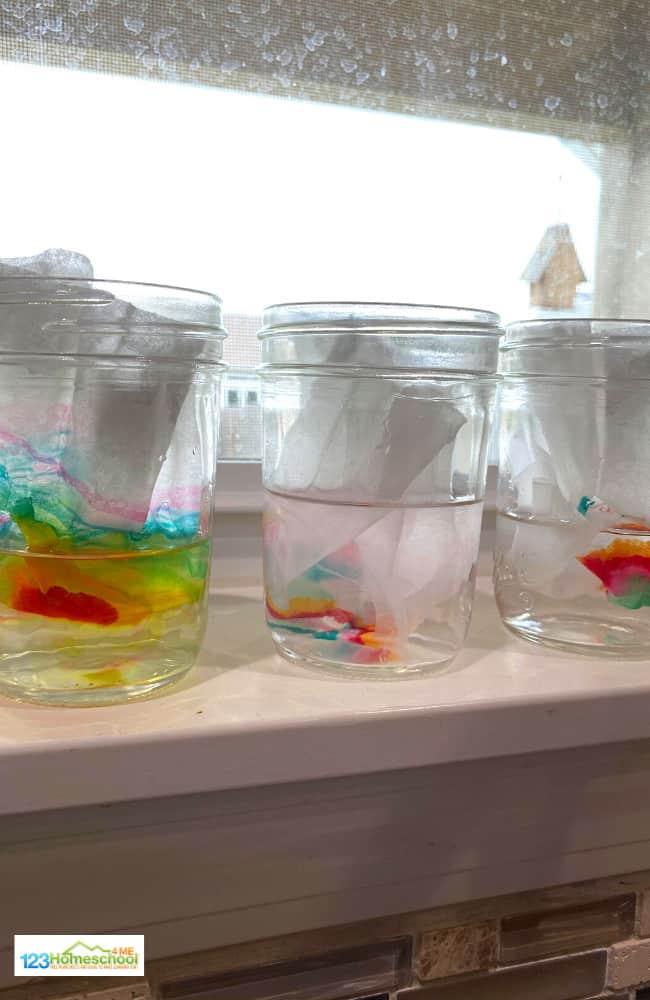 EASY Sharpie Permanent Marker Science Experiment for Kids