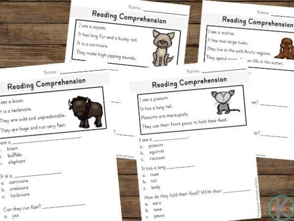 FREE Printable Fairy Tale Reading Comprehension Worksheets