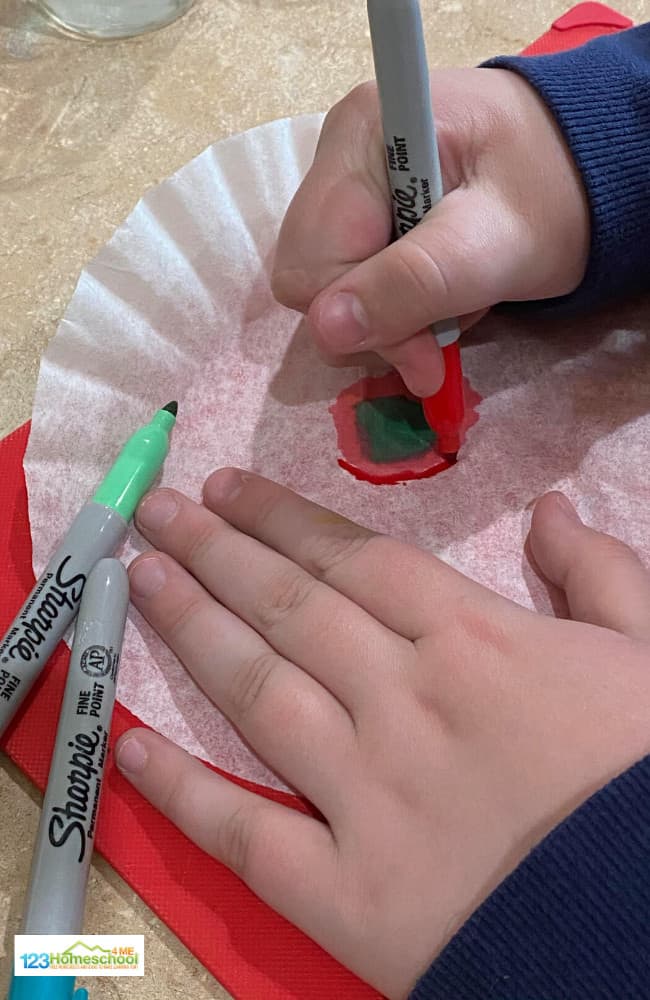 EASY Sharpie Permanent Marker Science Experiment for Kids