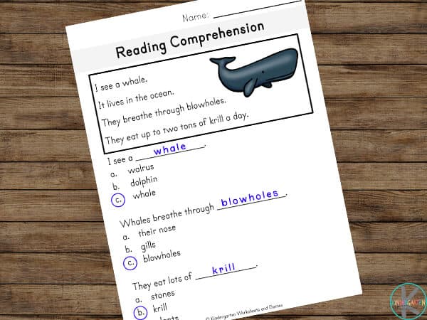 fun Reading Comprehension Exercises for kindergarten and grade 1