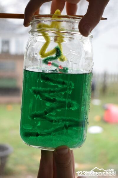 Kids will have fun growing their own borax crystals with this fun, hands on Christmas tree science activity for December. In this Christmas activity toddler, preschool, pre k, kindergarten, first grade, and 2nd grade students will learn and explore with an easy science experiment for Christmas.