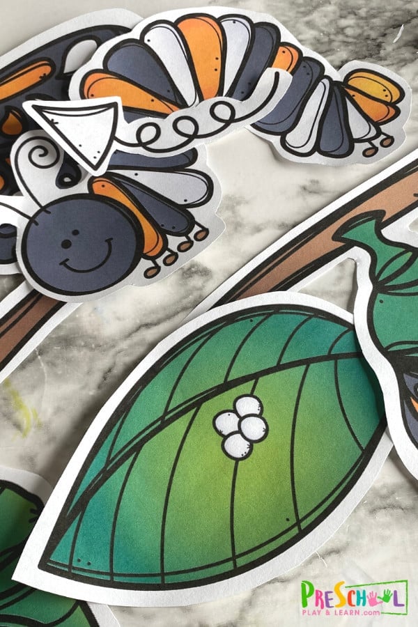 🦋 Butterfly Life Cycle Crafts w/ Free Printables