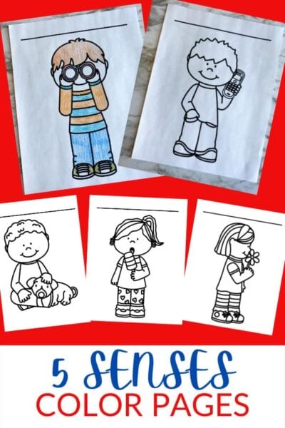 Is your preschool, kindergarten, or first grade student learning about the 5 senses for kids? These handy 5 senses coloring pages are a greaty way to introduce the five sense in a way that isn’t an overly complicated. These five senses coloring pages introduce children to the sense of taste, smell, sight, hearing, and feeling. Simply download pdf file with five senses coloring pages for preschool and you are ready to play and learn with a fun 5 senses activity for kids!