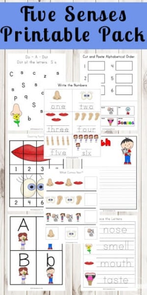 5 senses worksheets