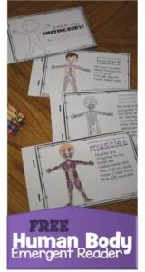 human body emergent reader for kids