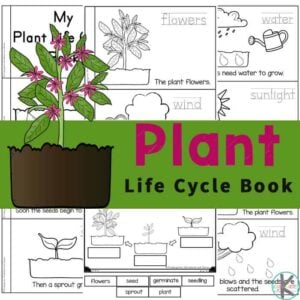 Kids will love learning about the life cycle of a plant with this free Plant Life Cycles reader. Color, read, and learn about plant life cycle for kids!