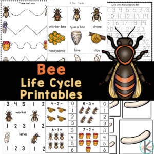 Grab these bee printables to learn about the life cycle of a bee plus math and literacy review too! Over 50 pages of FREE bee worksheets to play and learn.