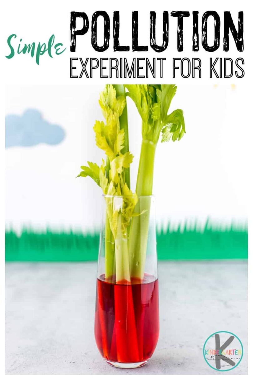 🌍 Earth Day Science Celery Water Pollution Experiment for Kids