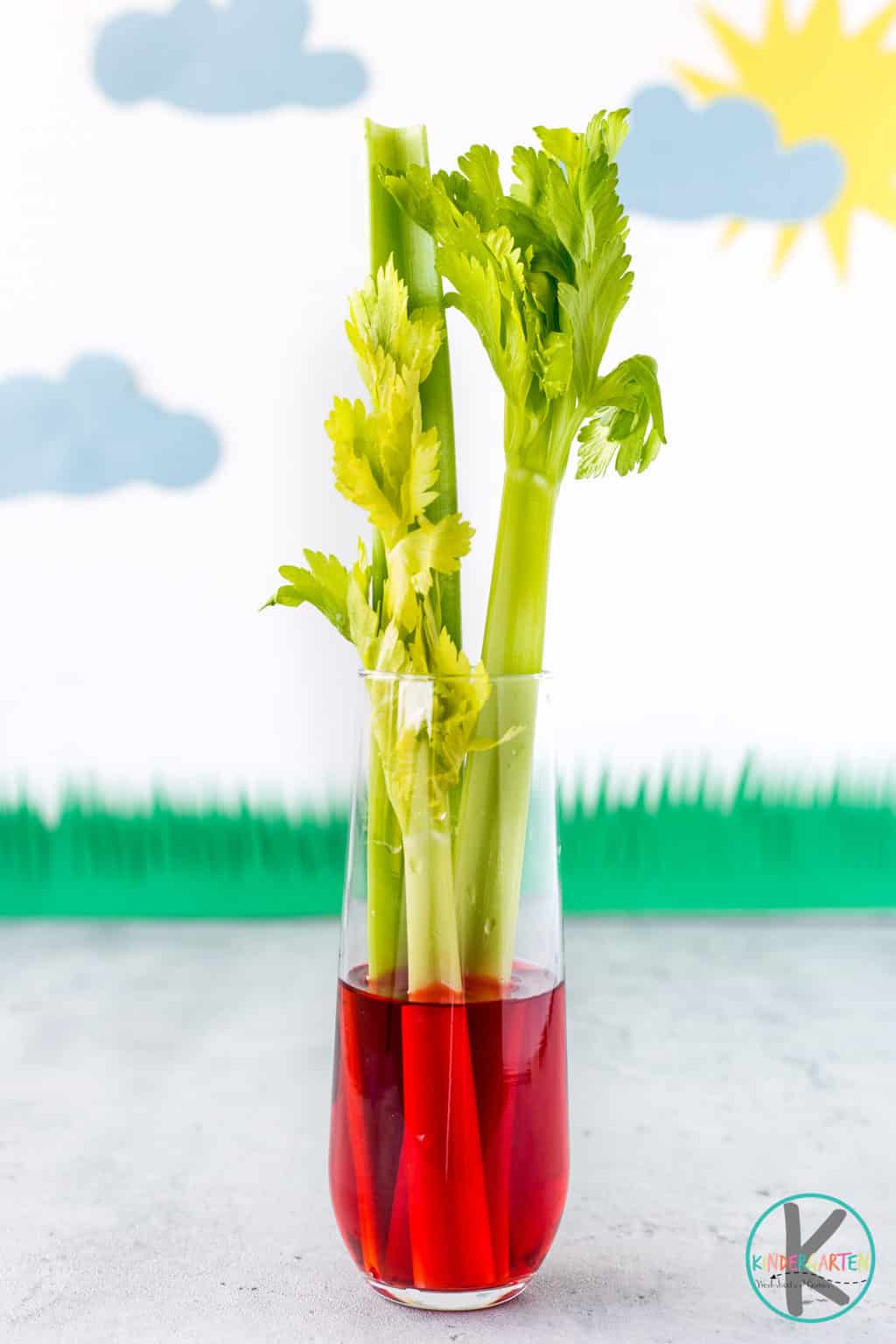  Earth Day Science Celery Water Pollution Experiment For Kids