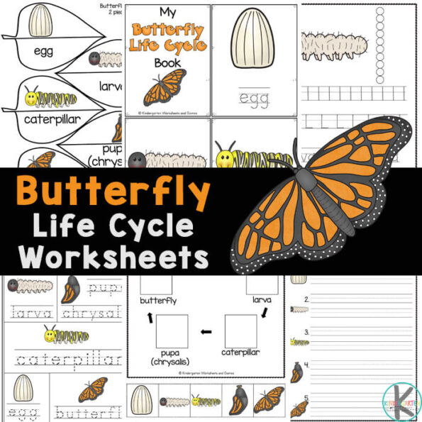 🦋 FREE Printable Butterfly Life Cycle Worksheets