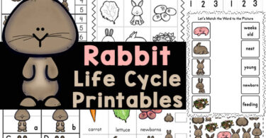 r for rabbit cycle for kids