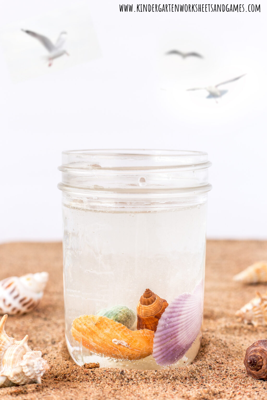 🐚 Easy Summer Activities Disolving Seashell Science Experiment