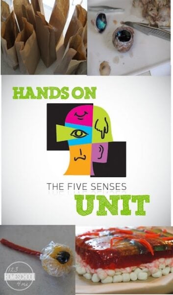 5 senses unit for elementary age students