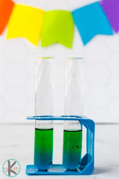Density Experiment