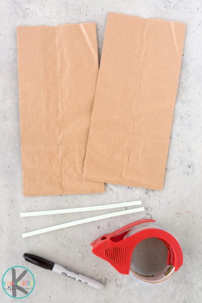 brown paper bag project