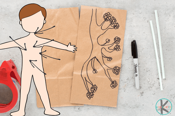 paper bag lung project