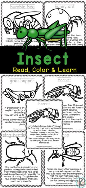 Kids are naturally fascinated by creepy crawly bugs! Insects are so unqique with their many legs, antenae, ability to fly, and unique body make-up. Help kids learn about the fascinating world of insects for kids with these super cute, free insect printables. Toddler, preschool, pre-k, and kindergarten, first grade, 2nd grade, and 3rd graders will have fun learning as they colour these insect colroing pages.  Simply print bug coloring pages with more than fourteen different insects for children to read, color, and learn.