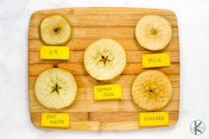 Why Apples Turn Brown