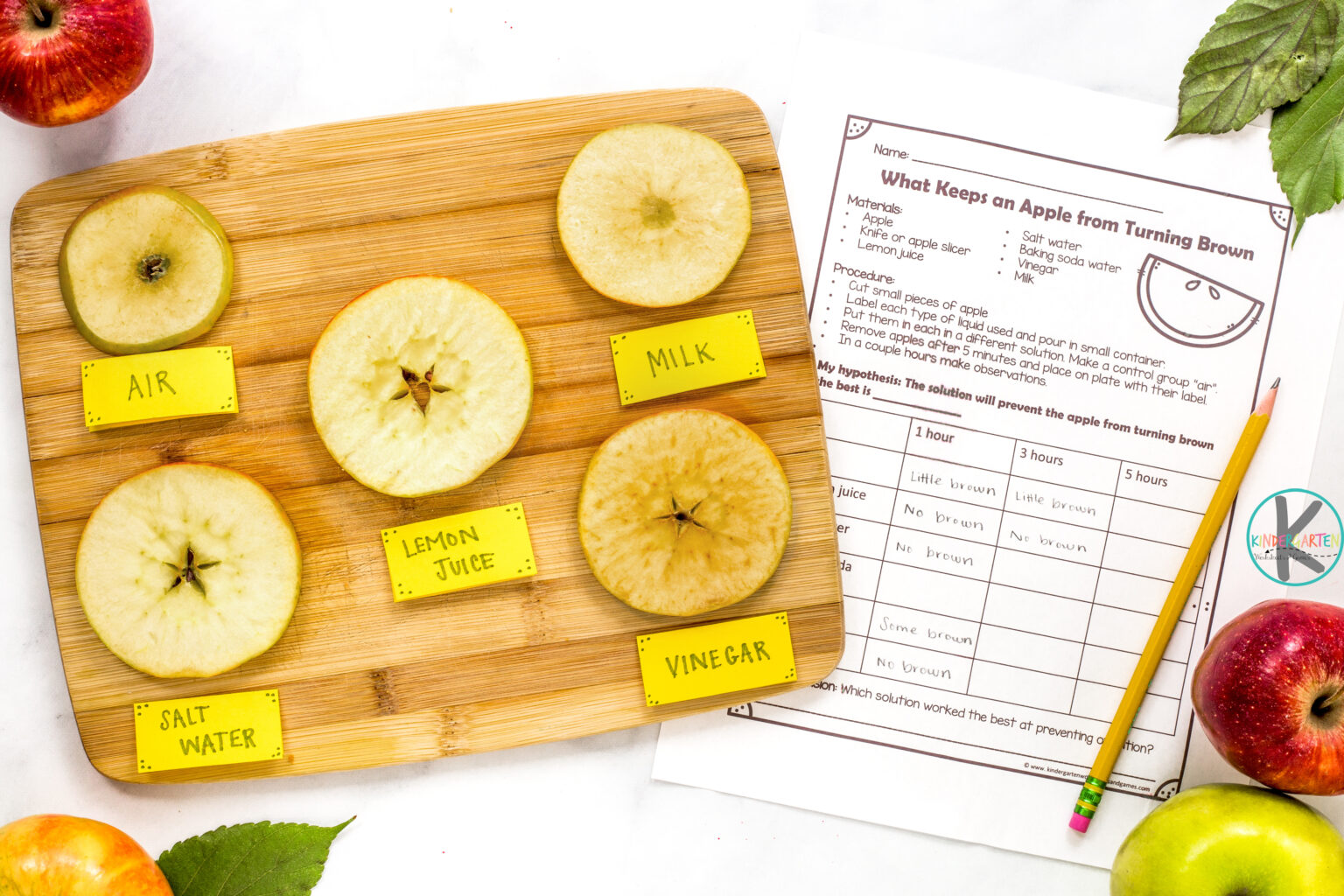 Apple Browning Science Experiment With FREE Oxidation Worksheet Apple Browning Science Experiment With FREE Oxidation Worksheet