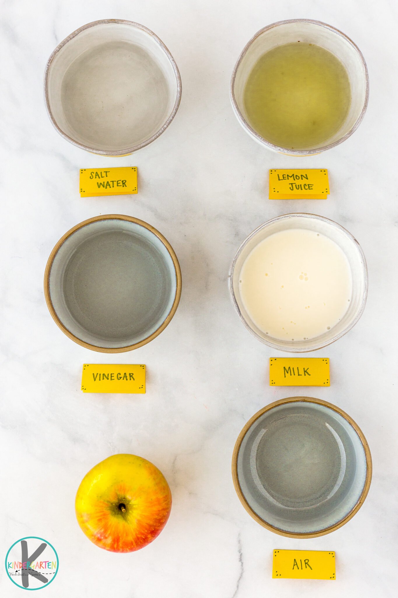 apple-browning-science-experiment-with-free-oxidation-worksheet