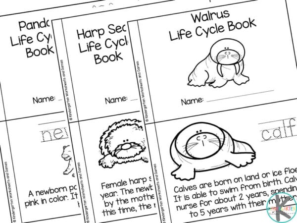 The Panda Life Cycle Book contains six pages for children to read and color The Harp Seal Life Cycle Book contains six pages for children to read and color The Walrus Life Cycle Book contains four pages for children to read and color
