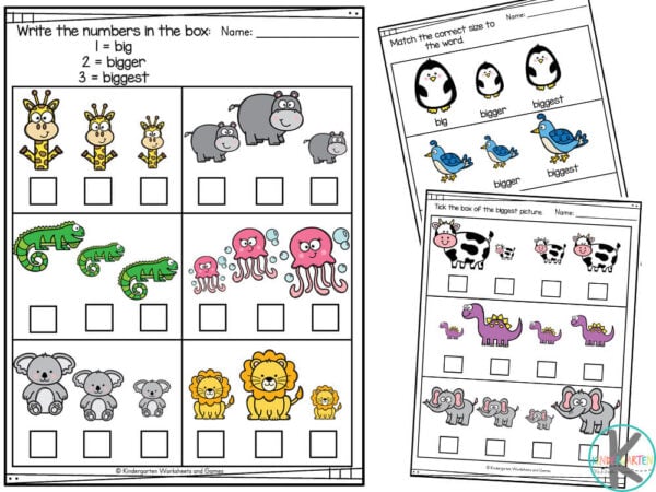 Modèle Big Small Size Worksheet for Kindergarten