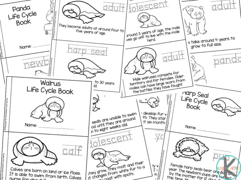 FREE Mammal Animals for Kids Life Cycle Printable Books