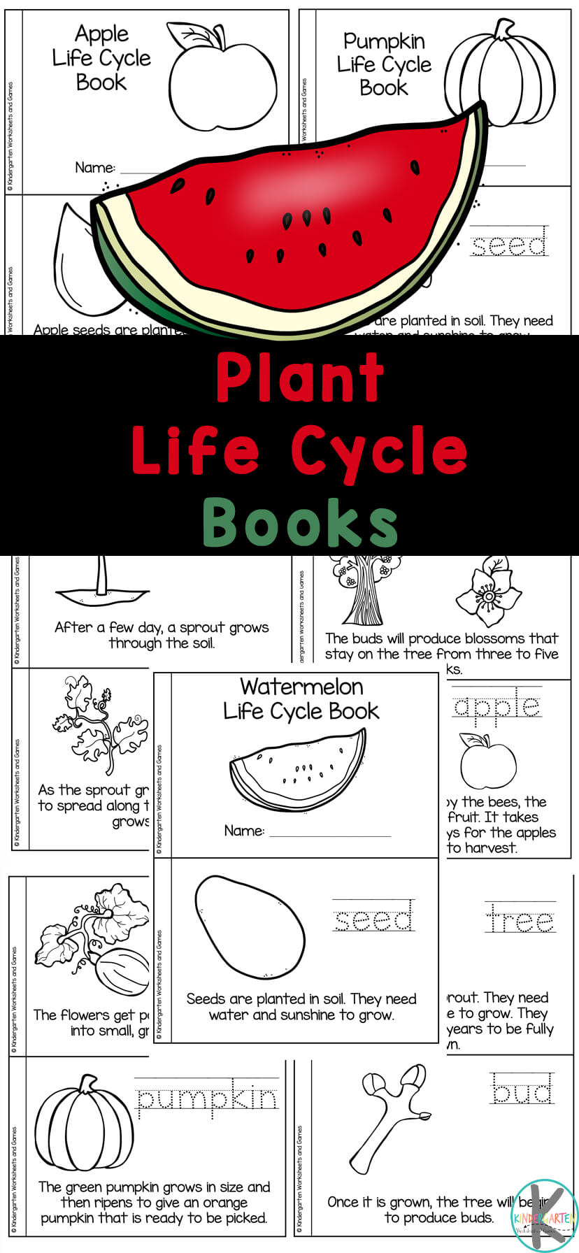 🍎🍉🎃 FREE Printable Plant Life Cycle for Kids Reader