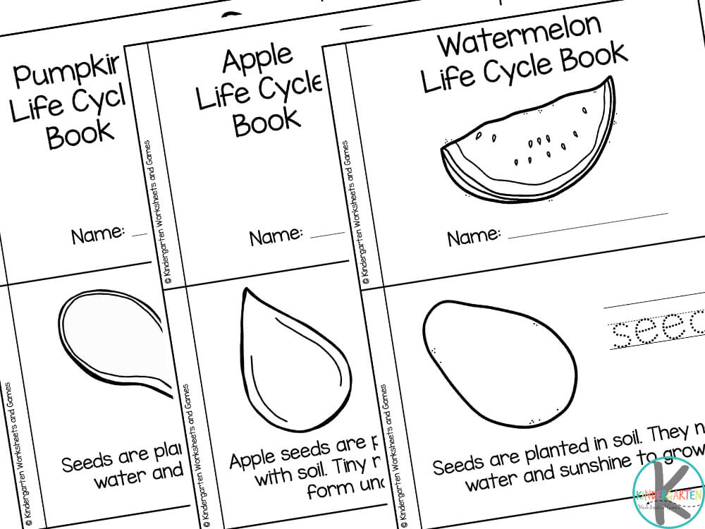 🍎🍉🎃 FREE Printable Plant Life Cycle for Kids Reader