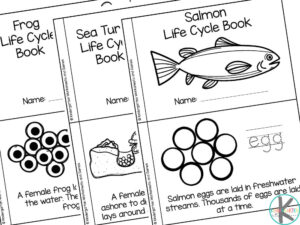 🐟🐸🦈 FREE Water Animals for Kids Life Cycle Printable Books