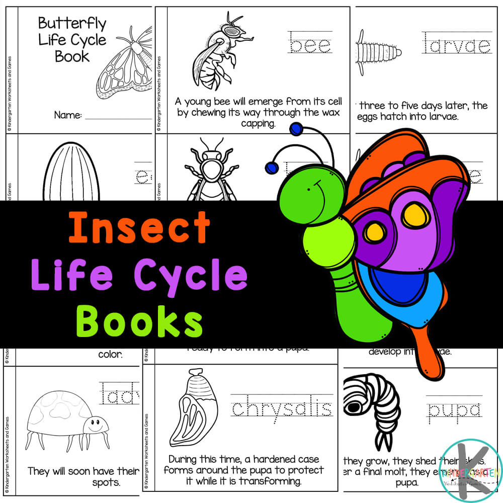 Bug Worksheets For Kindergarten Worksheets For Kindergarten
