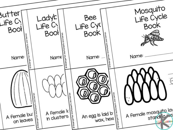  FREE Printable Insect Life Cycle Mini Book