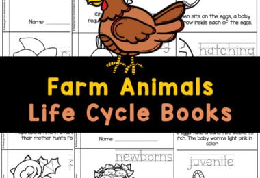 science worksheets archives kindergarten worksheets and games
