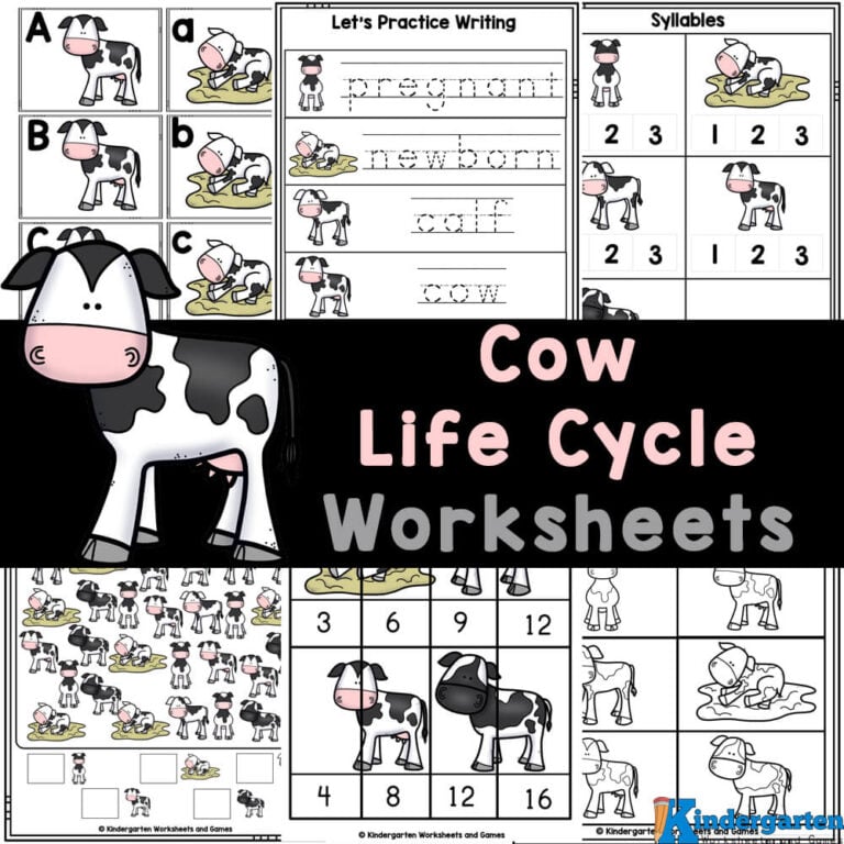 FREE Printable Life Cycle of a Cow Worksheets for Pre-k / Kindergarten