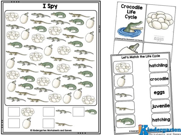 Clip the beginning sound
Count the syllables
Cut and Paste Crocodile Alphabetizing
Trace numbesr 1-50 Crocodile Theme
Crocodile Counting Puzzles
Crocodile I Spy Printable
Count and Clip
Crocodile Addition
Subtraction Clip Cards
Size Sequencing