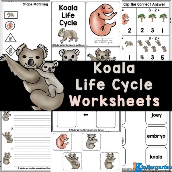 Discover the fascinating life cycle of koalas with these FREE worksheets that also review pre-k, kindergarten, and grade 1 math, and literacy skills!