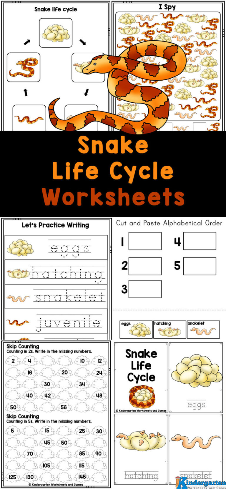FREE Snake Life Cycle Printable Worksheets