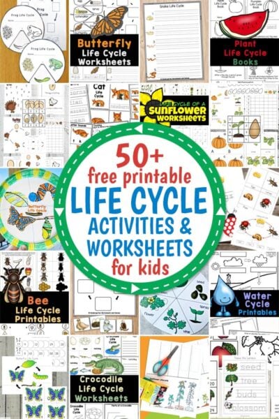 Our fun and engaging life cycle activities will help you teach your kids all about the life cycles of animals, insects and plants. These life cycles for kids include tons of free life cycle worksheets for your to print and use. Most include both a set for preschool and kindergarten that include not only life cycle printables, but also math and literacy activities too. There are also sets for elementary age students with new vocabulary, labeling, reading comprehension, reports, and more!