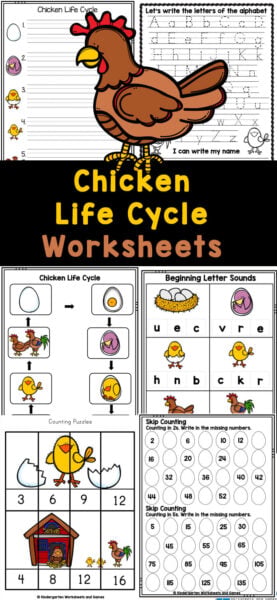 Sneak in some simple science learning about the life cycle of a chicken with these free chicken worksheets. Use these chicken activities to learn about animals, life cycles, or just practice math and literacy skills with a fun animal theme. These life cycle worksheets are perfect for kids in preschool, pre-k, kindergarten, and first graders to learn about these birds that provide us meat and eggs! Sneak in some simple science learning about the life cycle of a chicken with these free chicken worksheets. Use these chicken activities to learn about animals, life cycles, or just practice math and literacy skills with a fun animal theme. These life cycle worksheets are perfect for kids in preschool, pre-k, kindergarten, and first graders to learn about these birds that provide us meat and eggs!